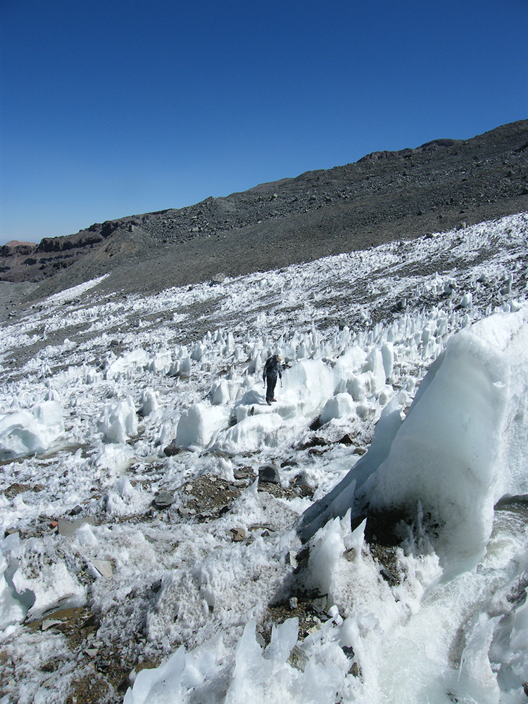 7arreboles Gallery 20